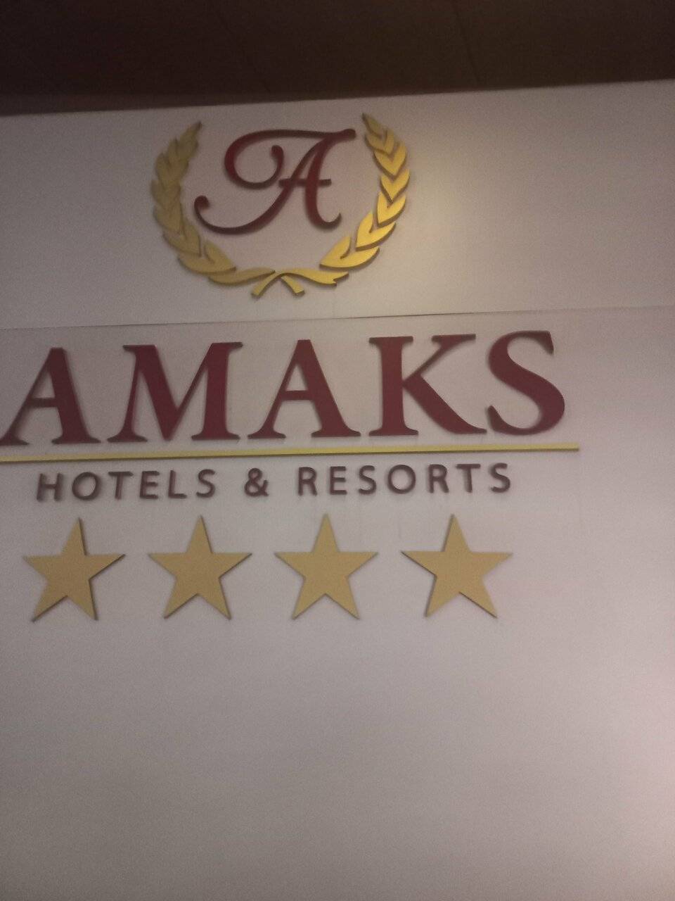 Фото Гостиницы Амакс Конгресс-отель Рязань 36