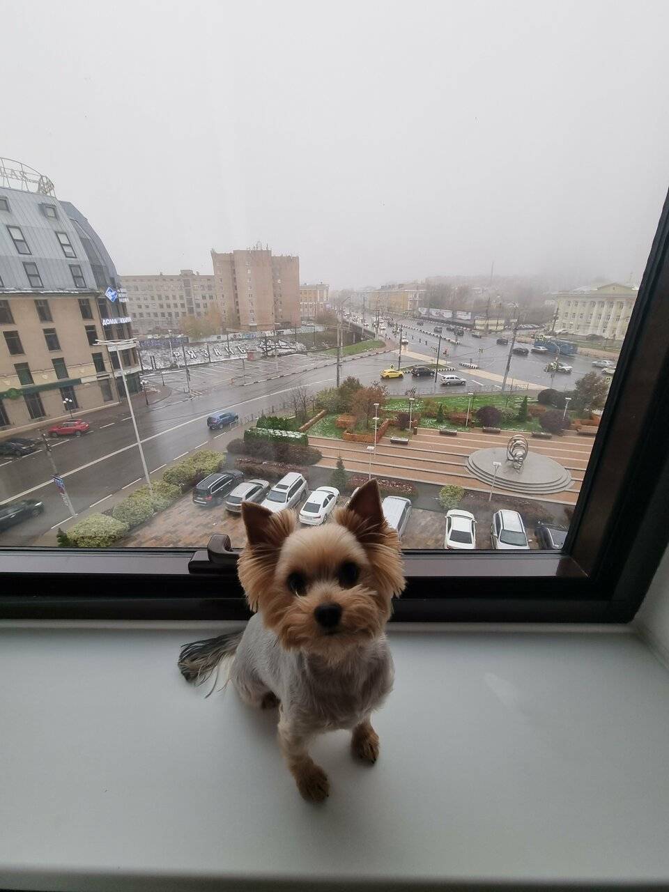 Фото Гостиницы Амакс Конгресс-отель Рязань 34