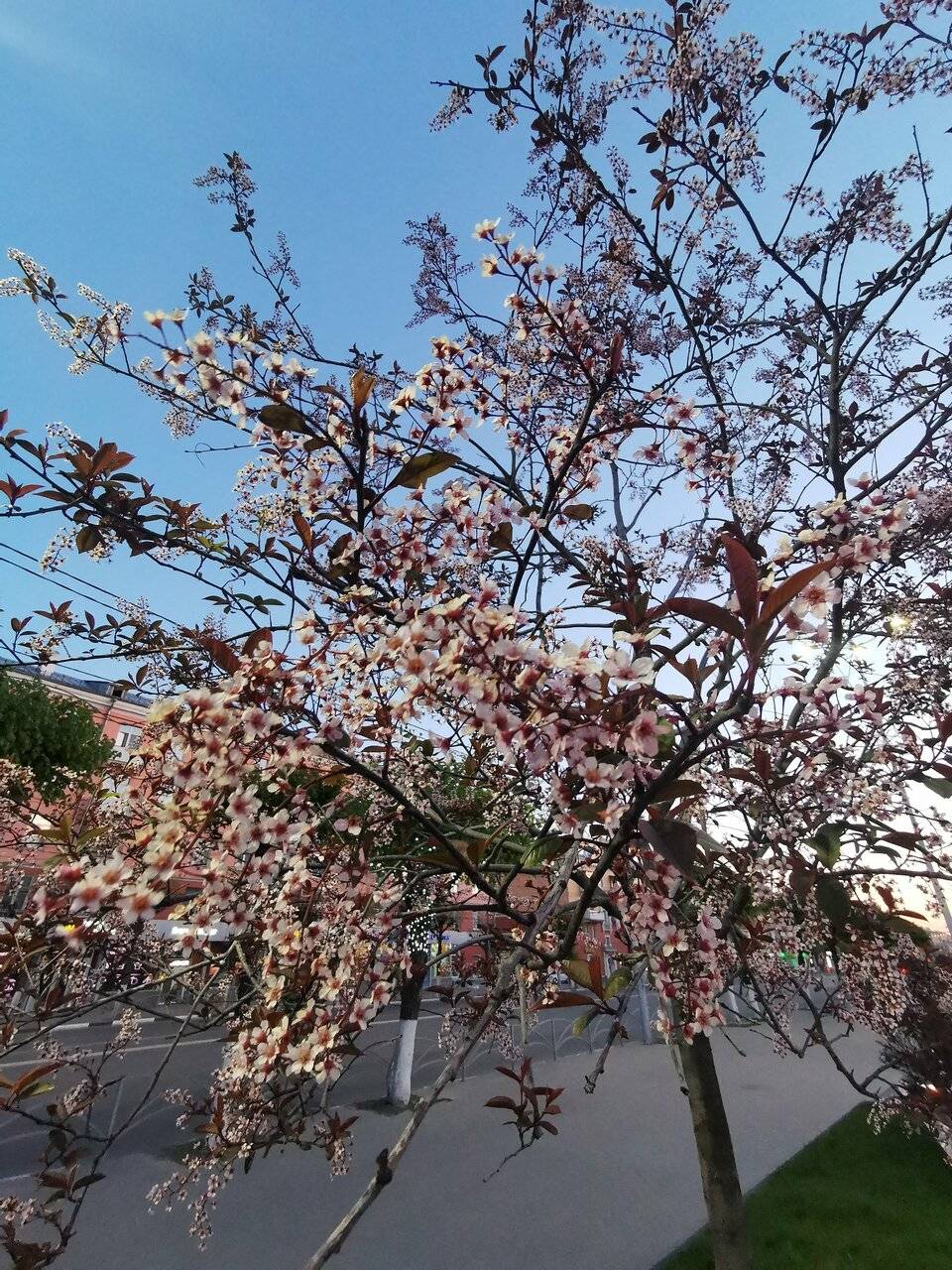 Фото Гостиницы Амакс Конгресс-отель Рязань 160